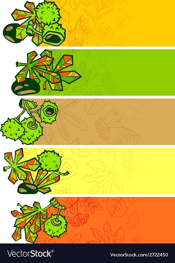 Banners vector image