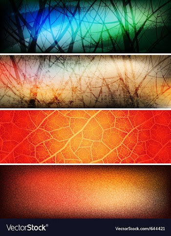 Banners vector image