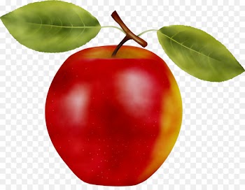 Barbados Cherry Apple Portable Network Graphics Computer Icons Fruit -  