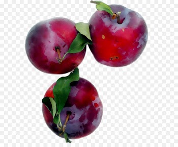 Barbados Cherry Cranberry Lingonberry Food Fruit -  