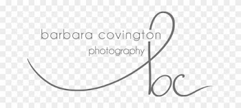 Barbara B Covington Photography Georgia Based Modern - Circle