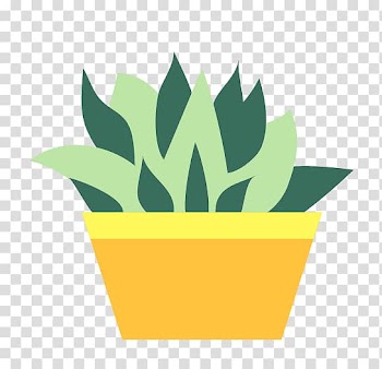 Barbary fig Cactaceae Echinopsis oxygona Aloe, cactus transparent background PNG clipart