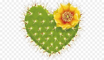 Barbary fig Cactaceae Thorns, spines, and prickles Heart - Heart-shaped cactus 
