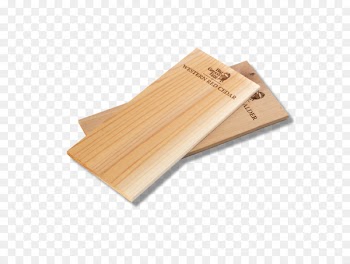 Barbecue Big Green Egg Outdoor Grilling Planks Ceramic - vis with green back 