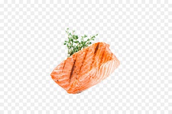 Barbecue grill Grilling Atlantic salmon Steak - SALMON 