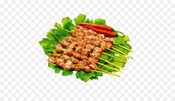 Barbecue Kebab Chuan Meat - Grill 
