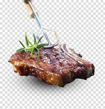 Barbecue sauce Grilling How to Grill: The Complete Illustrated Book of Barbecue Technique Cooking, quality meat transparent background PNG clipart