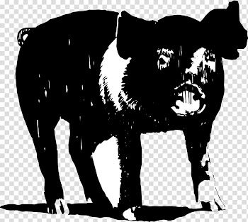 Barbecue sauce Ribs Domestic pig Spice rub, boar transparent background PNG clipart