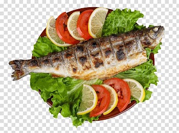 Barbecue Shashlik Leaf vegetable Asado Trout, barbecue transparent background PNG clipart