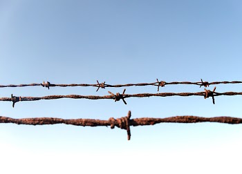 Barbed_Wire_2191 (5).JPG