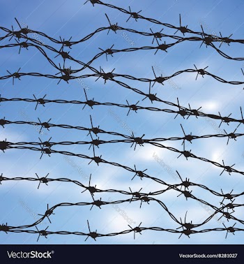 Barbed Wire Against Sky2 vector image