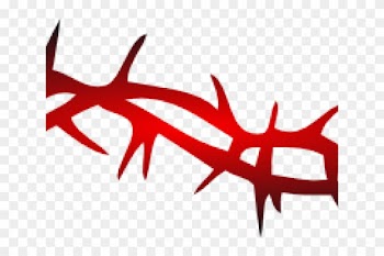 Barbed Wire Clipart Red - Spine Rose Png