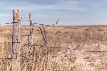 Barbed Wire Fence Free Photo 