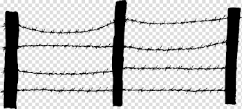 Barbed Wire Fences (PNG Transparent) | OnlyGFX.com