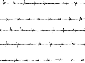 Barbed Wire PNG Transparent Barbed Wire.PNG Images. | PlusPNG