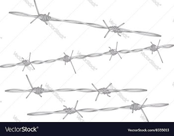 Barbed Wire vector image