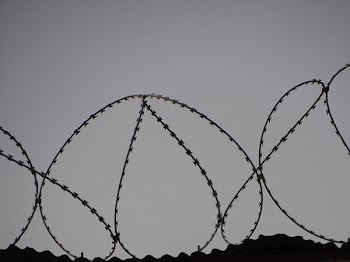 Barbed . Wires