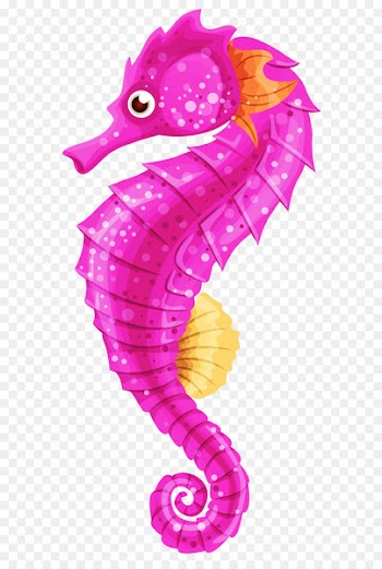 Barbour's seahorse Big-belly seahorse Seahorse World Clip art - Seahorse PNG 