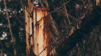 Barbwire on White Panel