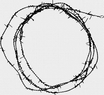 Barbwire PNG Download Image