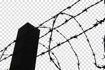 Barbwire PNG Image with Transparent Background