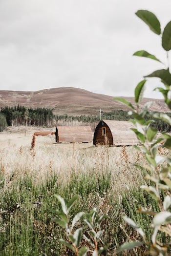 bard houses on open field