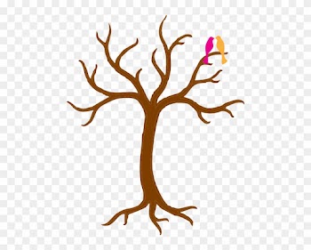 Bare - Tree - Clipart - Tree With No Leaves