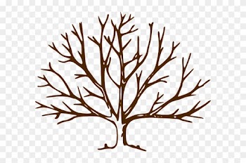 Bare Tree Coloring Page - Bare Tree