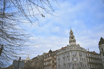 Bare Tree Near White Building