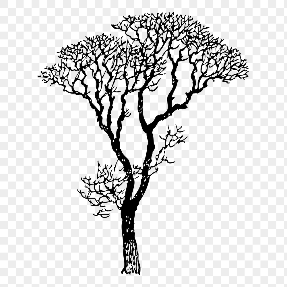 Bare tree png sticker, botanical | Free PNG - rawpixel