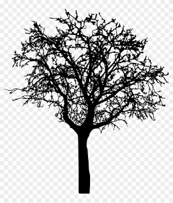 Bare Tree Silhouette Png - Bare Tree Silhouette