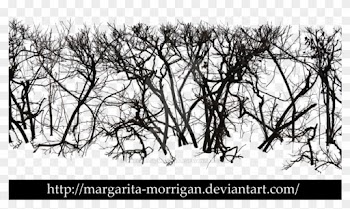 Bare Trees 2 By Margarita-morrigan - Bare Trees