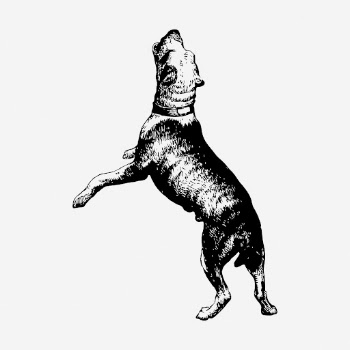 Barking dog drawing, vintage pet | Free Photo - rawpixel
