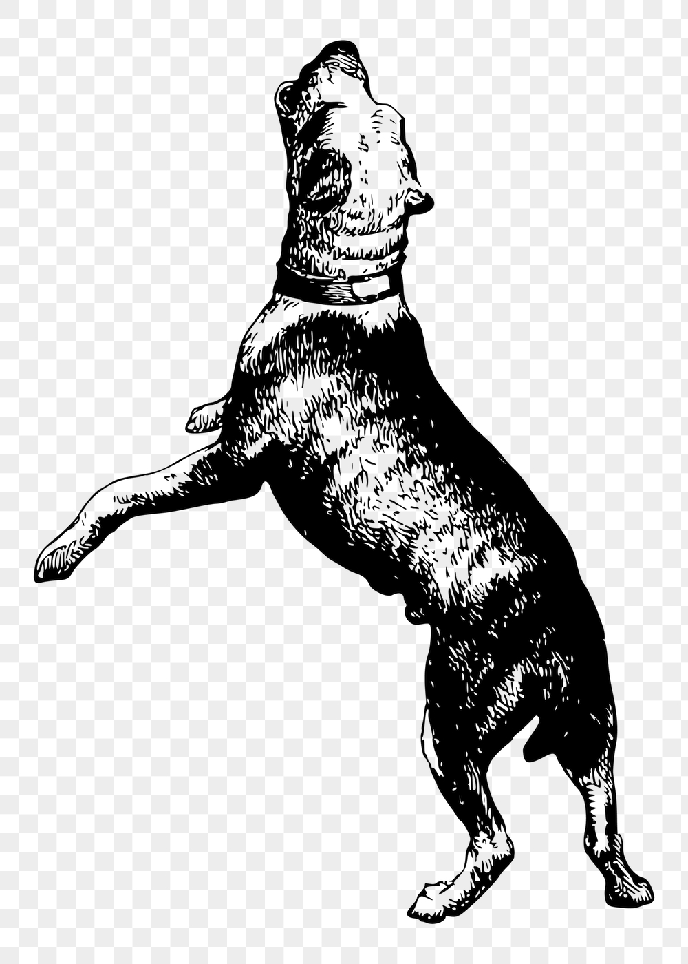Barking dog png sticker, vintage | Free PNG - rawpixel