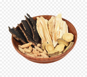 Barley tea Scrophularia ningpoensis Icon - Xuanmaiganjie tea 