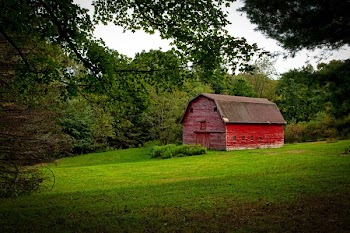 Barn in the Middle of Lawn Surrounded With Trees during Daytime