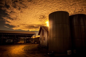 barn near grain storage
