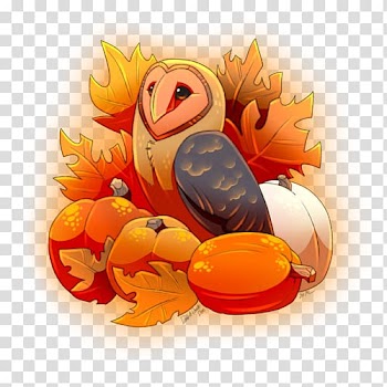 Barn owl Bird Pumpkin Familiar spirit, owl transparent background PNG clipart