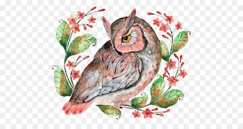 Barn owl Calendar December Illustration - owl 