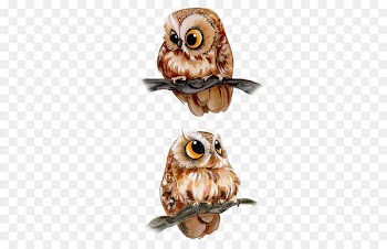 Barn owl Drawing Bird Clip art - owl 