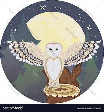 Barn Owl on a Tree Stump4 vector image