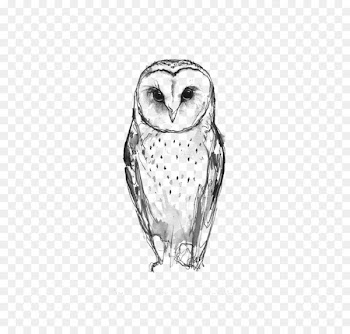 Barn owl Tattoo Idea Drawing - owl 