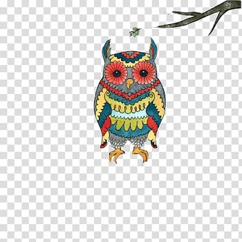 Barn owl Watercolor painting Illustration, Owl painting material transparent background PNG clipart