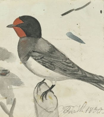 Barn swallow, 1830, by Ferdinand | Free Photo - rawpixel