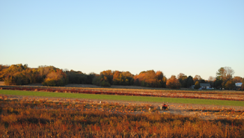 Barnyard Kingdom — Country Barn