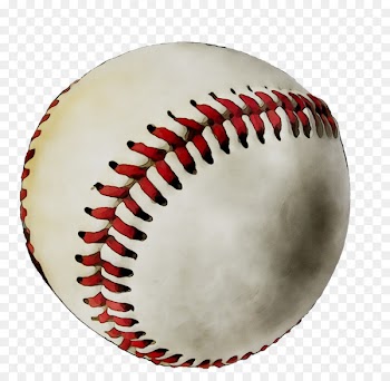 Baseball Bats Softball Cal State Northridge Matadors baseball Out -  
