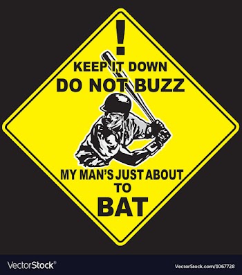  					Baseball caution to bat vector image														