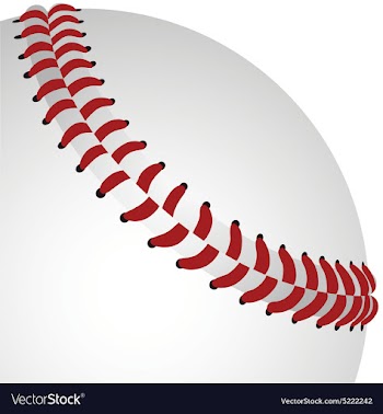 Baseball closeup vector image
