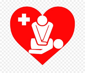Basic Life Support (BLS) Provider Manual Cardiopulmonary resuscitation Advanced cardiac life support First aid - cpr transparency and translucency 