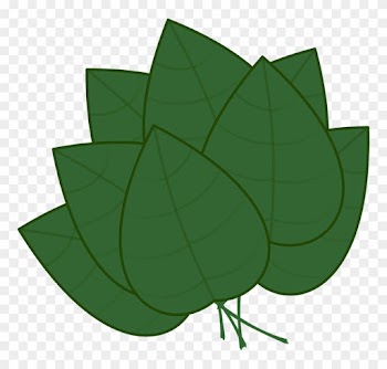 Basil Leaf Clip Art
